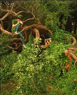 Girls in the Trees - Limited Edition Photographic Art by Christopher Strong